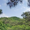 송백경로당 Daum카페