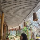 나우커피일산점 | 일산 밤리단길 카페 메노 발리감성 벚꽃뷰 카페