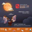 윌비스주 - 관악구 신림로23길 16 | 윌비스주