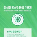 그린워시 이미지