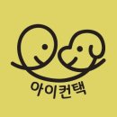 소문난 강아지 이미지