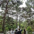 관악 민주주의 길 이미지