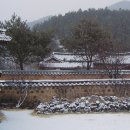 청량산다래식당민박 네이버블로그