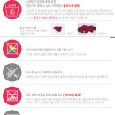 송월타올군산대리점 이미지