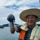 노을쭈꾸미 이미지