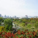 한밭수목원 이미지