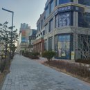 나노성형외과의원 네이버블로그