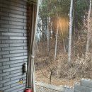 숲이좋아민박 이미지