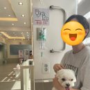 연향동물병원 이미지