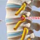 세심노무사