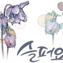 아름다운수채캘리 이미지