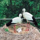 황새마을 이미지