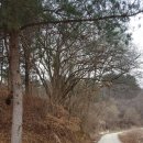 강림면345 이미지