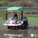 주생면 낙동마을 이미지