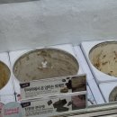 베스킨라빈스 신메뉴 두바이에서 온 엄마는 외계인 맛 솔직후기
