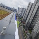 리본한방병원 이미지