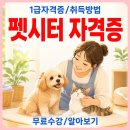 돌봄 | 펫시터 자격증 강아지돌봄알바 준비 후기