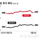리츠