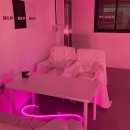 해브피피(HavePP) 이미지