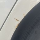 광주자동차공업사 이미지