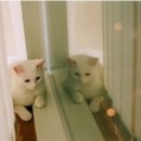 삼풍슈퍼 이미지