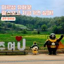 본가공주신관점 | 공주시 미르섬 유채꽃 실시간 자전거 대여 공주 뚜벅이 여행 세종 근처 가볼만한곳