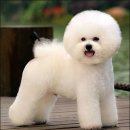 몽글몽글 이미지