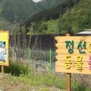 정선아기동물농장 이미지
