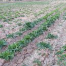 신명농장 이미지