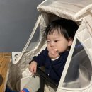 뉴서울갈비