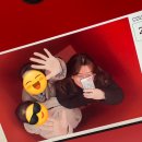 도훈목장 | 2월 일상 - 대관령양떼목장, 에이엠브레드앤커피, 춘천통나무집닭갈비본점, 모남희 인형키링, 드래곤...