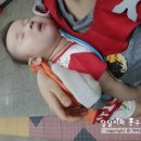 시그마마트
