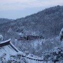 평사(여) 이미지