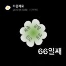 교대 쌀빵 | 3교대 직장인 다이어트 마운자로 5mg 66일차 6펜째 -8.6kg 후기 눈바디 마운자로 안아프게 맞는 방법 꿀팁