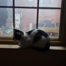 창포찜질방 이미지