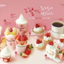 요거 프레소 이미지