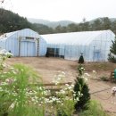 둔내농장 이미지