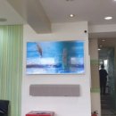 프로젝트0721