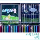 예쁜둥지어린이집 이미지