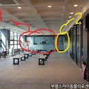 원주24시스카이동물메디컬센터