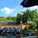 (주)오월의아침 이미지