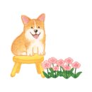 단비펫살롱 이미지