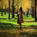 은행나무목장 이미지