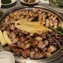 양덕동358 | 제주사진 가득한 7월 일상 2 (7/8~14)