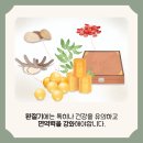 연세동의보감한의원 이미지