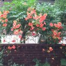 만수4동-10 이미지