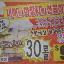 세일광고 이미지