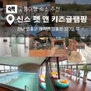 Shin's Glamping | 아이와 함께 가기 좋은 고흥 신스 펫 앤 키즈 글램핑