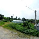 여주-1103 이미지