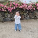 호박2스테이민박 이미지